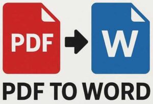 PDF to Word Converter