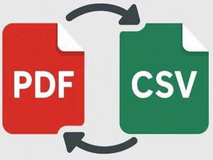 PDF to CSV Converter